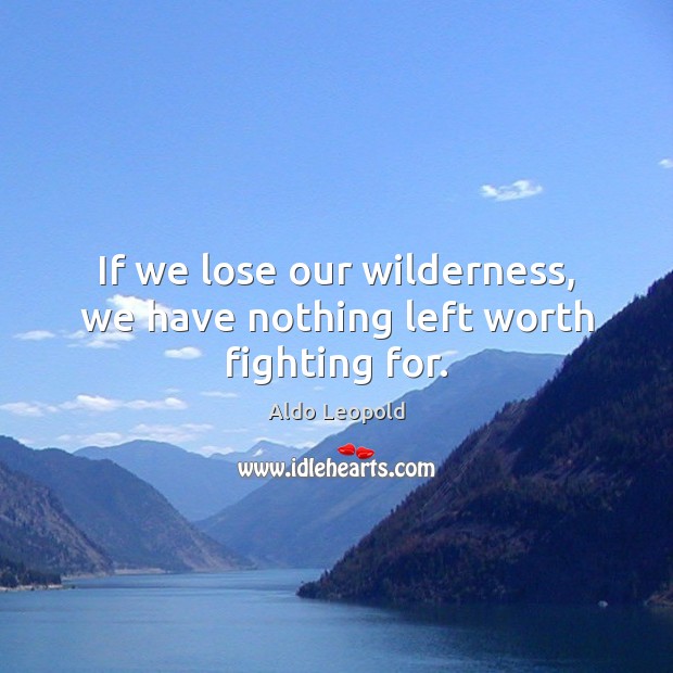 If we lose our wilderness, we have nothing left worth fighting for. Aldo Leopold Picture Quote