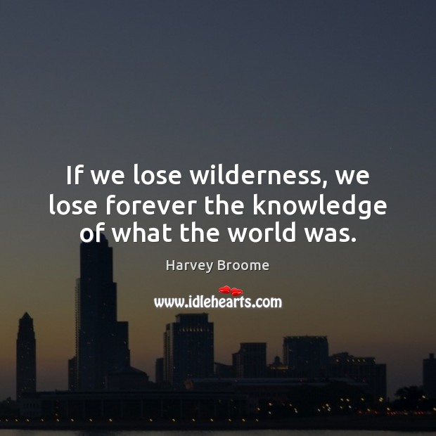 If we lose wilderness, we lose forever the knowledge of what the world was. Harvey Broome Picture Quote