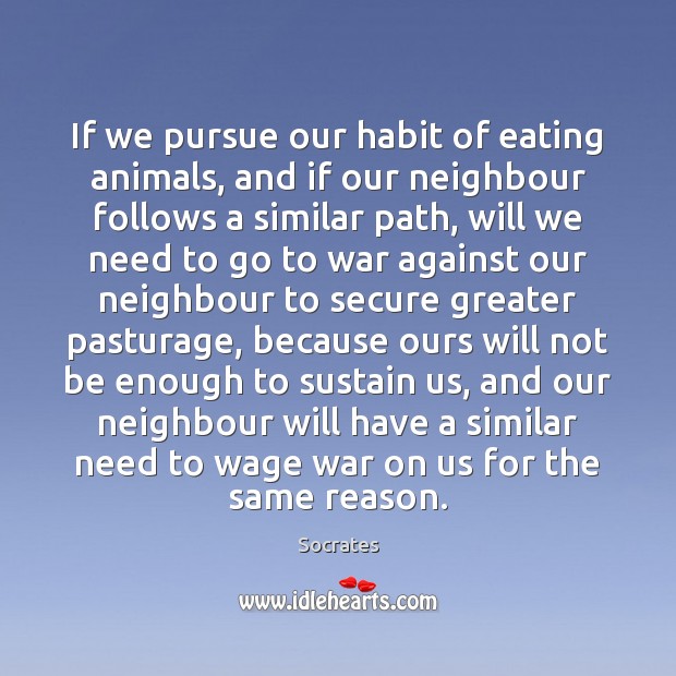 If we pursue our habit of eating animals, and if our neighbour Socrates Picture Quote