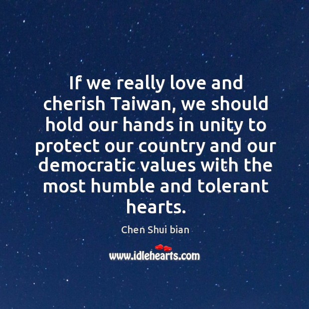 If we really love and cherish taiwan, we should hold our hands in unity to protect our country and Chen Shui bian Picture Quote