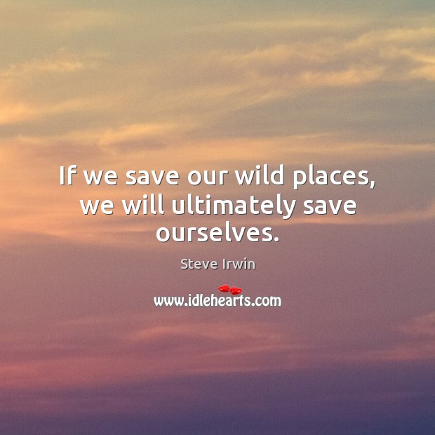 If we save our wild places, we will ultimately save ourselves. Steve Irwin Picture Quote