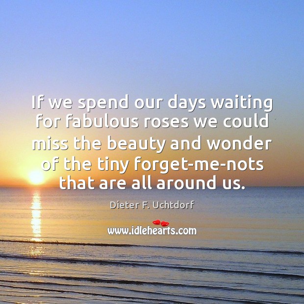 If we spend our days waiting for fabulous roses we could miss Dieter F. Uchtdorf Picture Quote