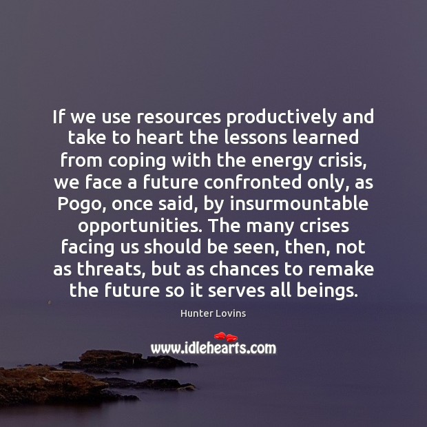 If we use resources productively and take to heart the lessons learned Hunter Lovins Picture Quote