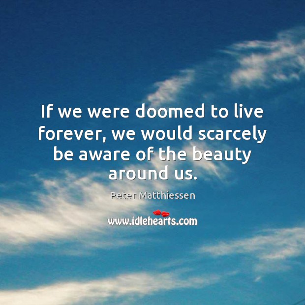 If we were doomed to live forever, we would scarcely be aware of the beauty around us. Peter Matthiessen Picture Quote