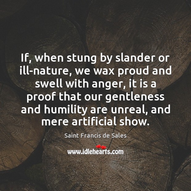 If, when stung by slander or ill-nature, we wax proud and swell Saint Francis de Sales Picture Quote