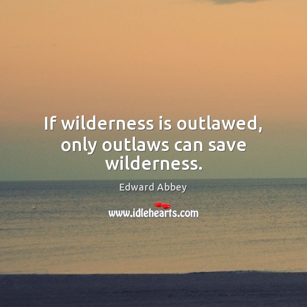 If wilderness is outlawed, only outlaws can save wilderness. Edward Abbey Picture Quote