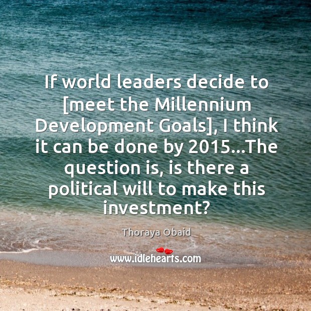 If world leaders decide to [meet the Millennium Development Goals], I think Image