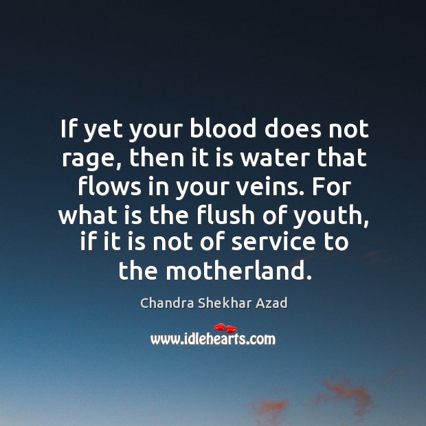 If yet your blood does not rage, then it is water that Chandra Shekhar Azad Picture Quote