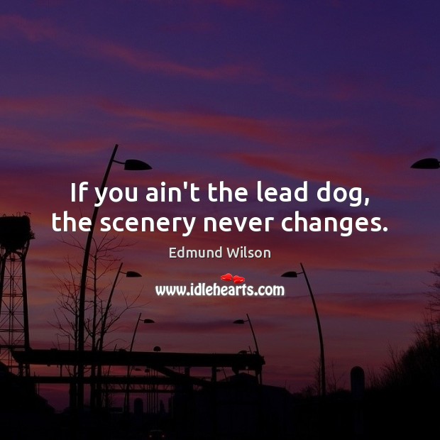 If you ain’t the lead dog, the scenery never changes. Edmund Wilson Picture Quote