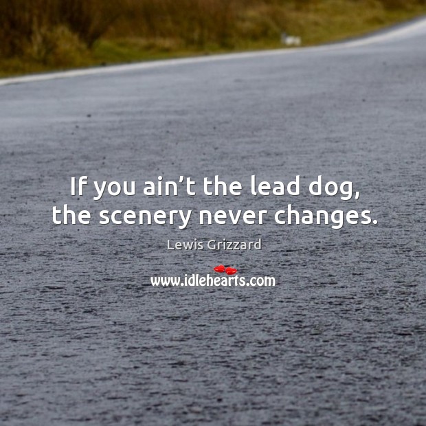If you ain’t the lead dog, the scenery never changes. Image