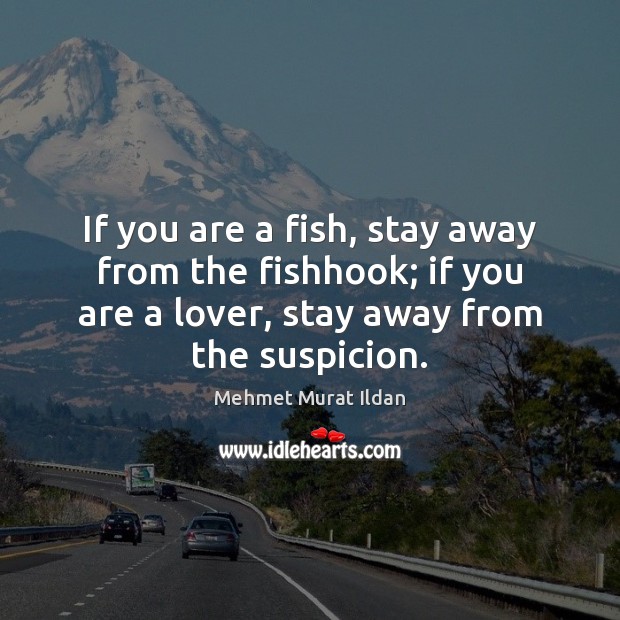 If you are a fish, stay away from the fishhook; if you Mehmet Murat Ildan Picture Quote