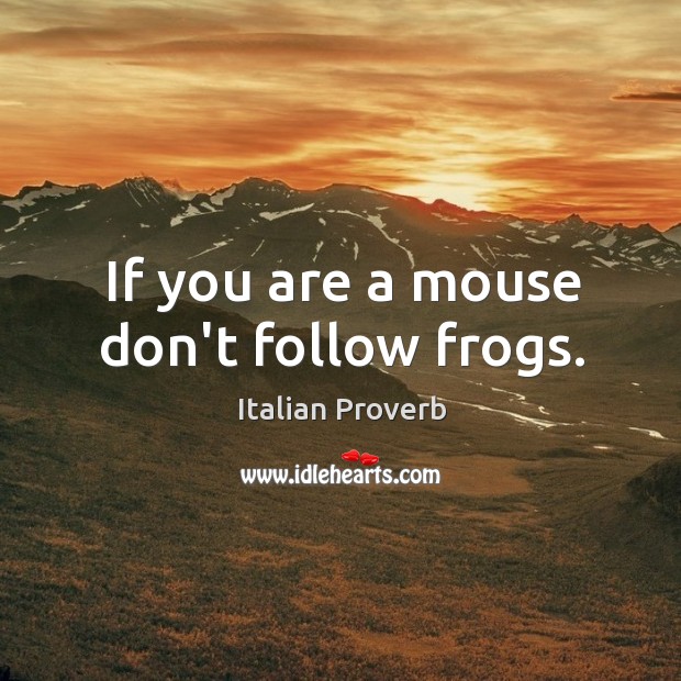 If you are a mouse don’t follow frogs. Italian Proverbs Image