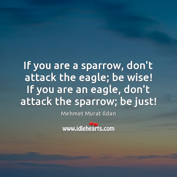 If you are a sparrow, don’t attack the eagle; be wise! If Image