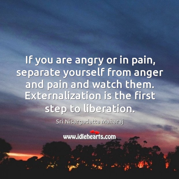 If you are angry or in pain, separate yourself from anger and Sri Nisargadatta Maharaj Picture Quote