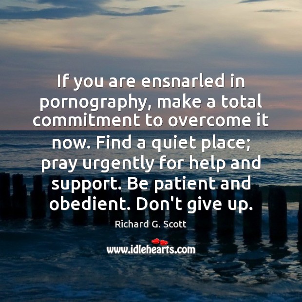 If you are ensnarled in pornography, make a total commitment to overcome Don’t Give Up Quotes Image
