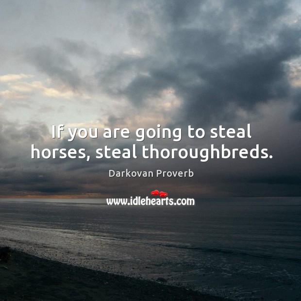 If you are going to steal horses, steal thoroughbreds. Image