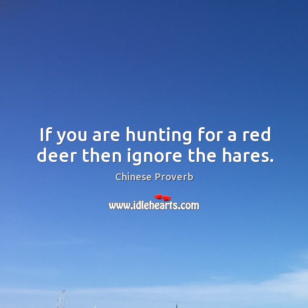 If you are hunting for a red deer then ignore the hares. Image