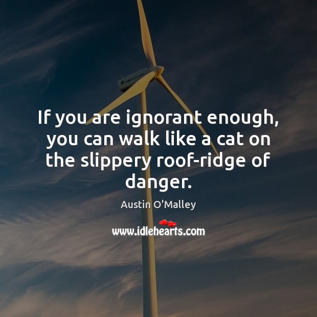 If you are ignorant enough, you can walk like a cat on the slippery roof-ridge of danger. Austin O’Malley Picture Quote