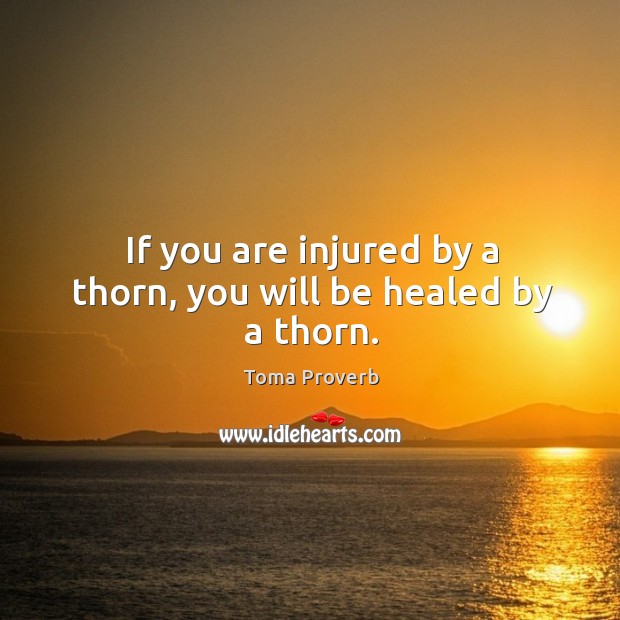 If you are injured by a thorn, you will be healed by a thorn. Toma Proverbs Image