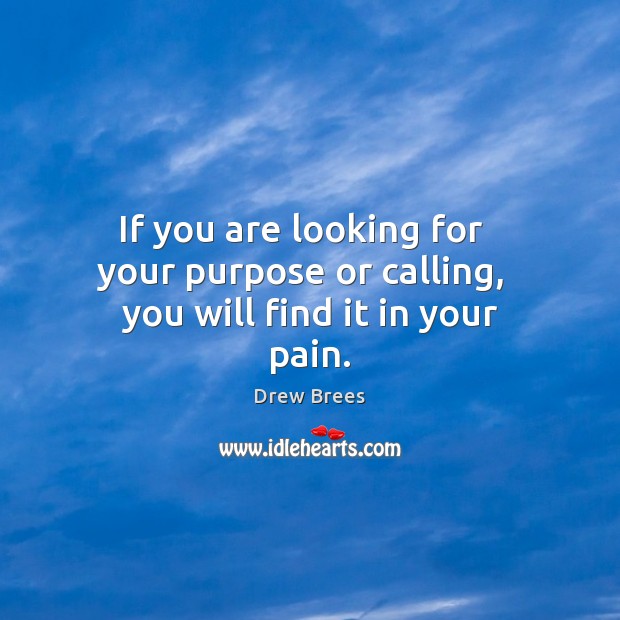 If you are looking for   your purpose or calling,   you will find it in your pain. Drew Brees Picture Quote
