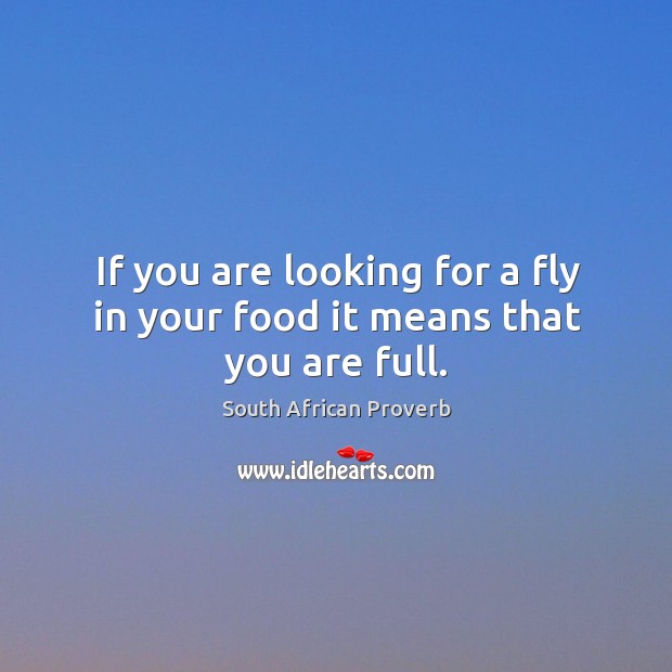 If you are looking for a fly in your food it means that you are full. South African Proverbs Image