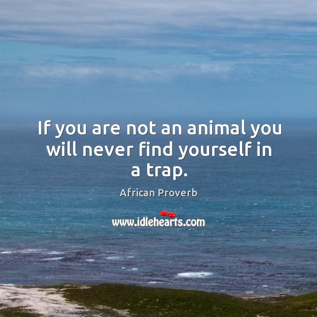 If you are not an animal you will never find yourself in a trap. Image