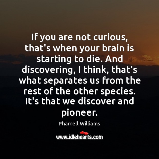 If you are not curious, that’s when your brain is starting to Pharrell Williams Picture Quote