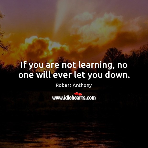 If you are not learning, no one will ever let you down. Robert Anthony Picture Quote