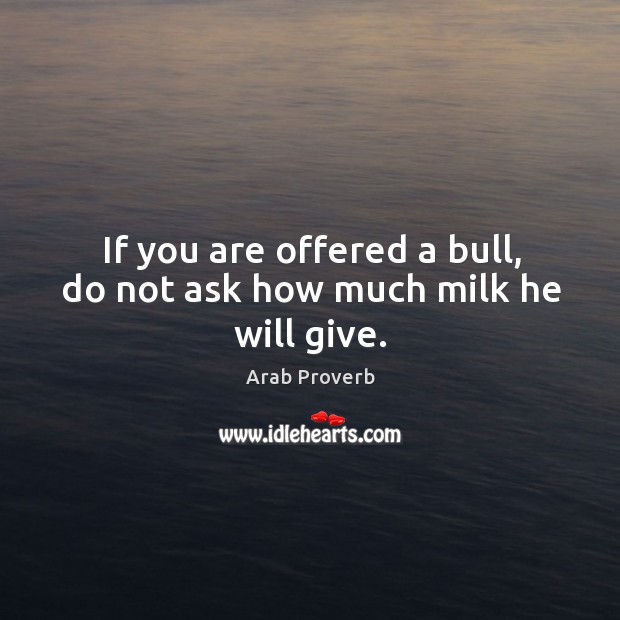 If you are offered a bull, do not ask how much milk he will give. Arab Proverbs Image