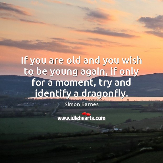 If you are old and you wish to be young again, if Simon Barnes Picture Quote