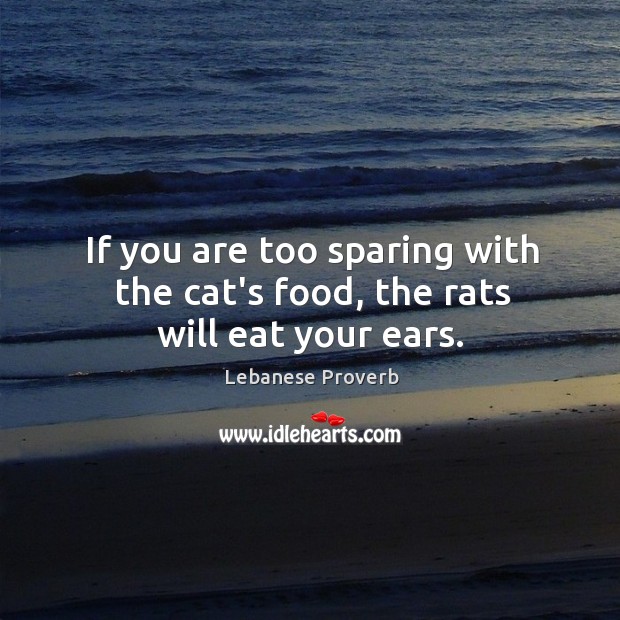 If you are too sparing with the cat’s food, the rats will eat your ears. Lebanese Proverbs Image