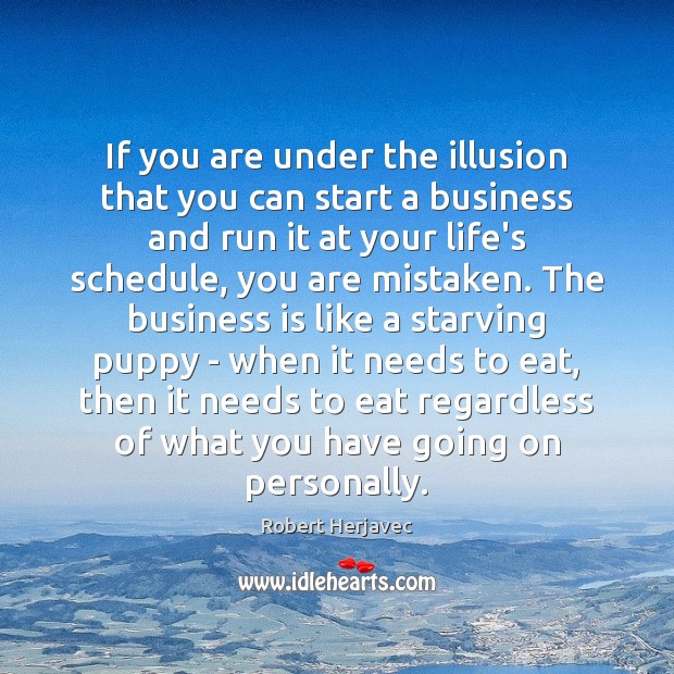 If you are under the illusion that you can start a business Robert Herjavec Picture Quote