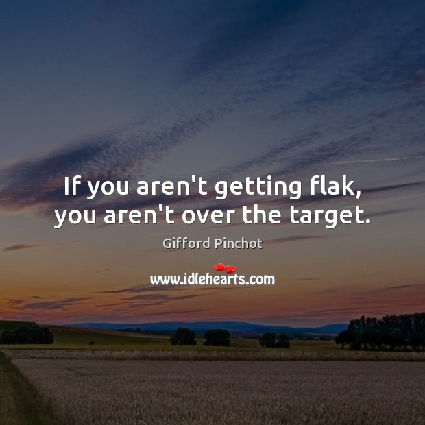 If you aren’t getting flak, you aren’t over the target. Gifford Pinchot Picture Quote