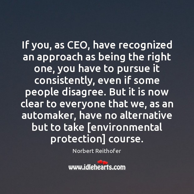 If you, as CEO, have recognized an approach as being the right Image