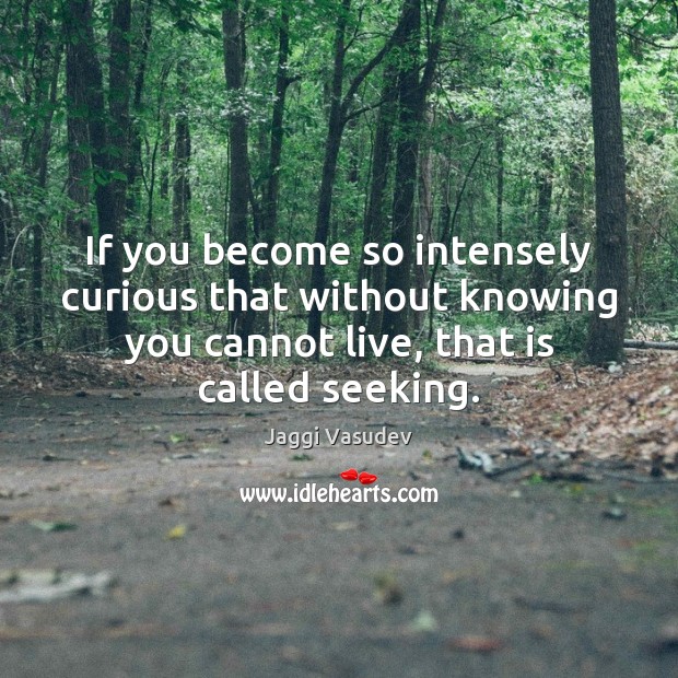 If you become so intensely curious that without knowing you cannot live, Jaggi Vasudev Picture Quote
