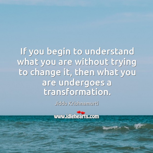 If you begin to understand what you are without trying to change it, then what you are undergoes a transformation. Jiddu Krishnamurti Picture Quote