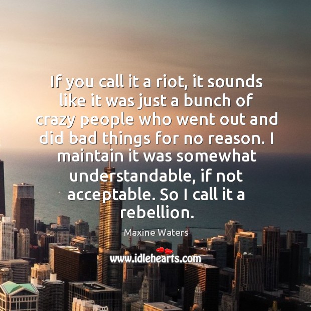 If you call it a riot, it sounds like it was just Maxine Waters Picture Quote