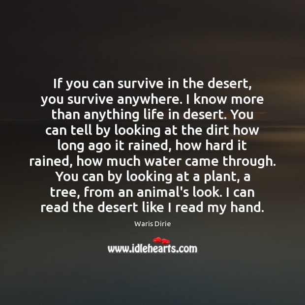 If you can survive in the desert, you survive anywhere. I know Waris Dirie Picture Quote