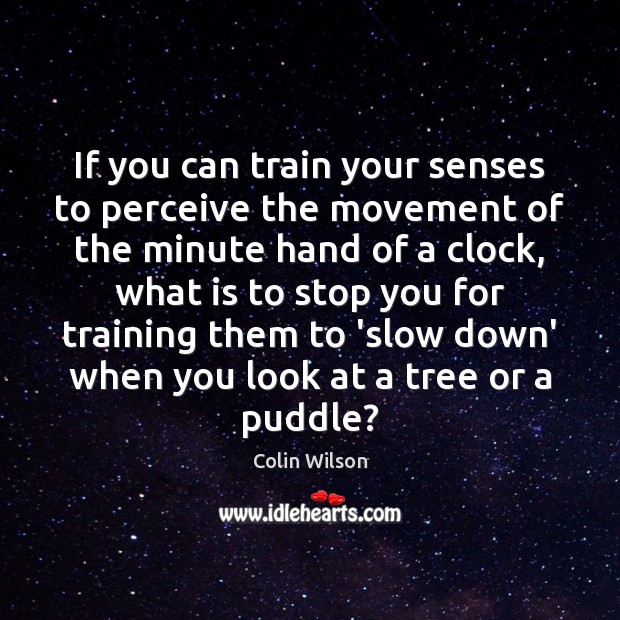 If you can train your senses to perceive the movement of the Colin Wilson Picture Quote