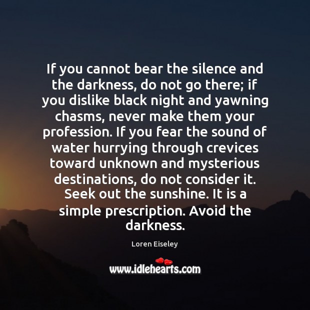 If you cannot bear the silence and the darkness, do not go Image