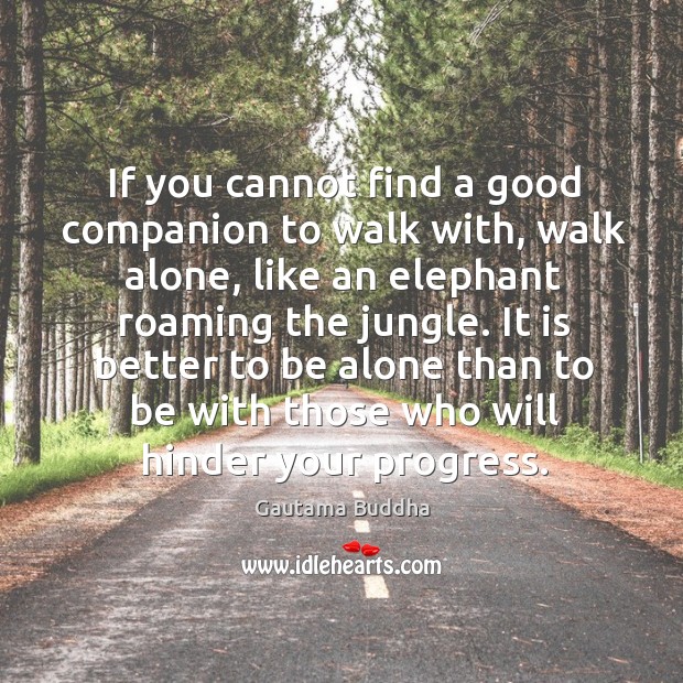 If you cannot find a good companion to walk with, walk alone, Gautama Buddha Picture Quote