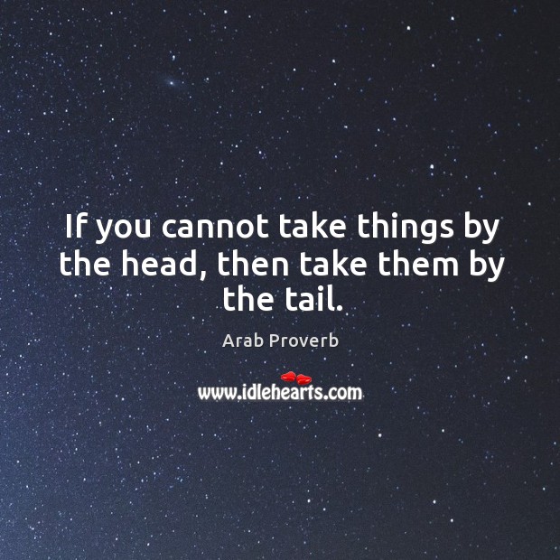 If you cannot take things by the head, then take them by the tail. Arab Proverbs Image