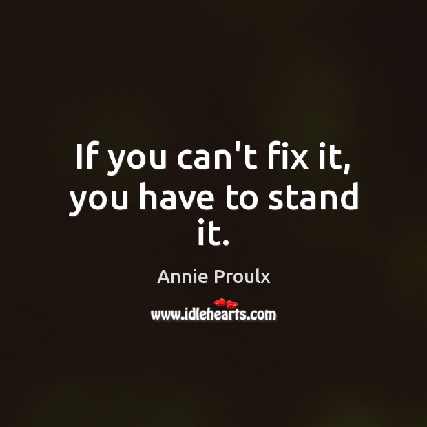 If you can’t fix it, you have to stand it. Image