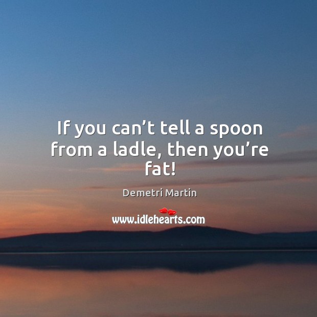 If you can’t tell a spoon from a ladle, then you’re fat! Demetri Martin Picture Quote