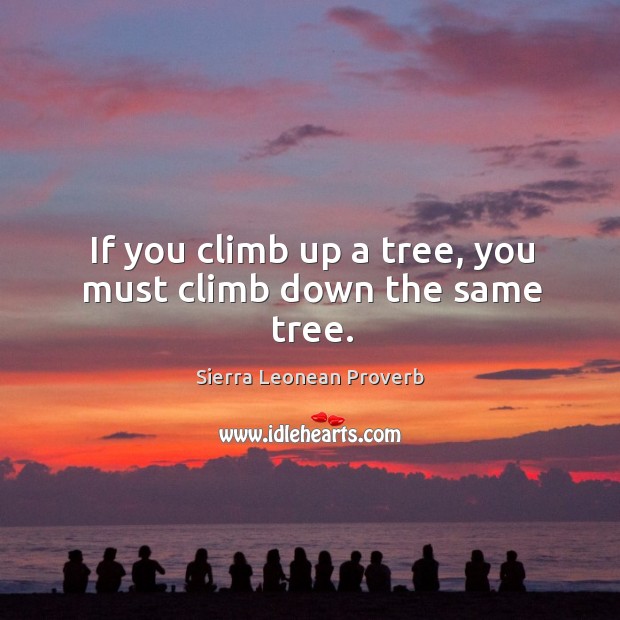If you climb up a tree, you must climb down the same tree. Sierra Leonean Proverbs Image