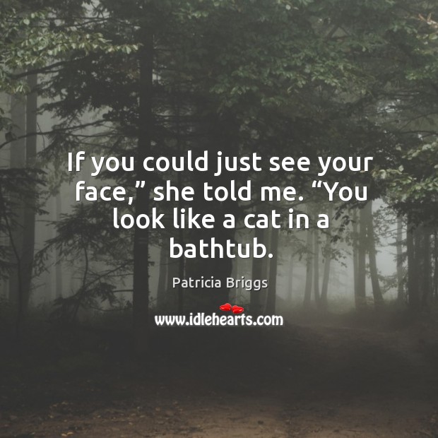 If you could just see your face,” she told me. “You look like a cat in a bathtub. Image