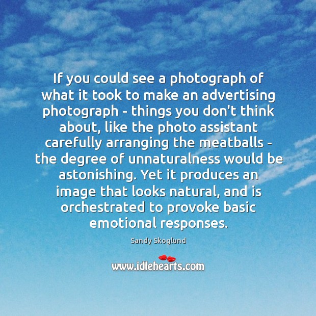 If you could see a photograph of what it took to make Sandy Skoglund Picture Quote