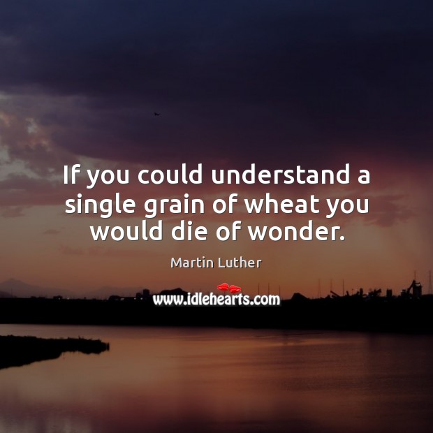 If you could understand a single grain of wheat you would die of wonder. Martin Luther Picture Quote