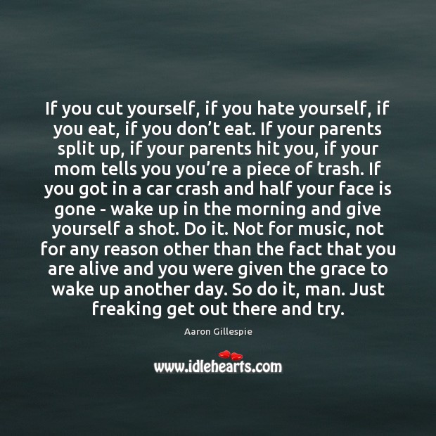 If you cut yourself, if you hate yourself, if you eat, if Aaron Gillespie Picture Quote