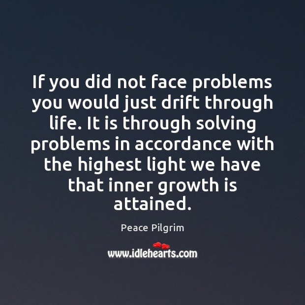 If you did not face problems you would just drift through life. Peace Pilgrim Picture Quote